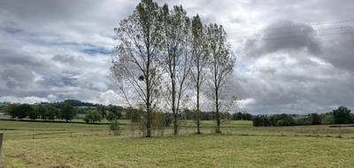 Terrain seul à Naucelles en Cantal (15) de 375 m² à vendre au prix de 31000€ - 4