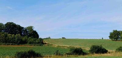 Terrain seul à Prévelles en Sarthe (72) de 800 m² à vendre au prix de 11999€ - 2