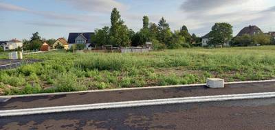 Terrain seul à Wolfgantzen en Haut-Rhin (68) de 390 m² à vendre au prix de 81900€ - 2