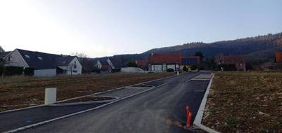 Terrain seul à Osenbach en Haut-Rhin (68) de 213 m² à vendre au prix de 36850€ - 4