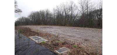 Terrain seul à Hombourg-Haut en Moselle (57) de 577 m² à vendre au prix de 41000€ - 1