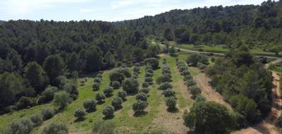 Terrain seul à Montouliers en Hérault (34) de 6530 m² à vendre au prix de 32000€ - 3