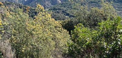 Terrain seul à Ocana en Corse-du-Sud (2A) de 2173 m² à vendre au prix de 185000€ - 3