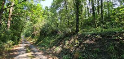 Terrain seul à Roquecourbe en Tarn (81) de 9330 m² à vendre au prix de 35000€ - 1