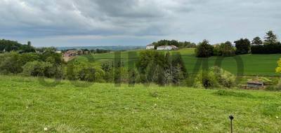Terrain seul à Bonnut en Pyrénées-Atlantiques (64) de 1602 m² à vendre au prix de 35200€ - 1
