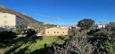 Terrain seul à Santa-Reparata-di-Balagna en Haute-Corse (2B) de 1197 m² à vendre au prix de 235000€ - 2