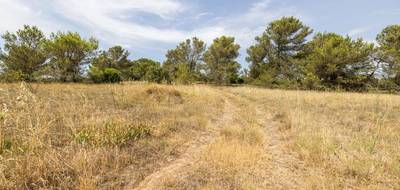 Terrain seul à Malves-en-Minervois en Aude (11) de 8952 m² à vendre au prix de 30000€ - 1
