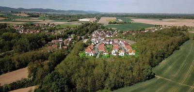 Terrain seul à Riedseltz en Bas-Rhin (67) de 562 m² à vendre au prix de 72500€ - 1