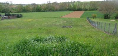 Terrain seul à Escamps en Yonne (89) de 1000 m² à vendre au prix de 28000€ - 4