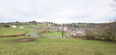 Terrain seul à Tulle en Corrèze (19) de 2685 m² à vendre au prix de 17000€ - 2