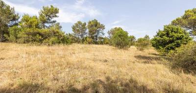 Terrain seul à Malves-en-Minervois en Aude (11) de 8952 m² à vendre au prix de 30000€ - 4