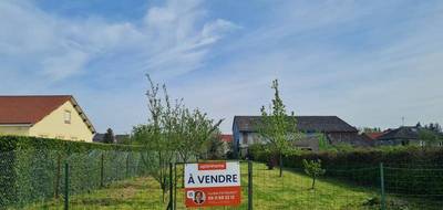 Terrain seul à Sailly en Ardennes (08) de 726 m² à vendre au prix de 31000€ - 3