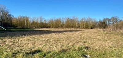 Terrain seul à Bengy-sur-Craon en Cher (18) de 736 m² à vendre au prix de 20664€ - 2