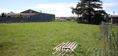 Terrain seul à Pujo en Hautes-Pyrénées (65) de 1203 m² à vendre au prix de 39000€ - 2