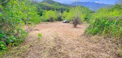 Terrain seul à Oletta en Haute-Corse (2B) de 3218 m² à vendre au prix de 338000€ - 2