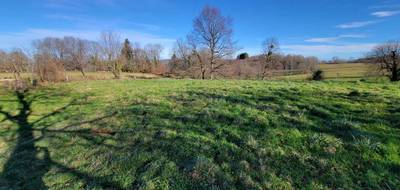 Terrain seul à Alzen en Ariège (09) de 1030 m² à vendre au prix de 40000€ - 3