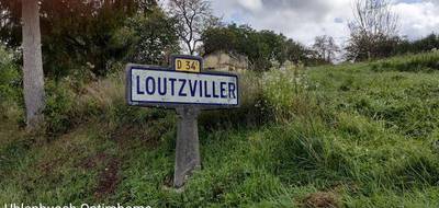 Terrain seul à Loutzviller en Moselle (57) de 1592 m² à vendre au prix de 36000€ - 1
