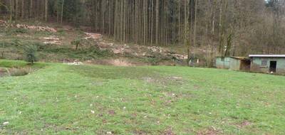 Terrain seul à Hottviller en Moselle (57) de 803 m² à vendre au prix de 33000€ - 3