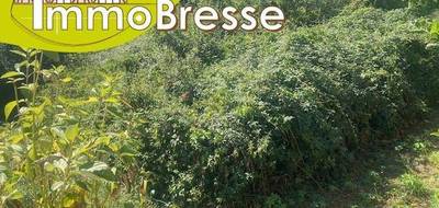 Terrain seul à Montrevel-en-Bresse en Ain (01) de 1196 m² à vendre au prix de 65000€ - 1