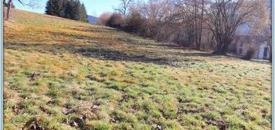 Terrain seul à Chabreloche en Puy-de-Dôme (63) de 2586 m² à vendre au prix de 29000€ - 4