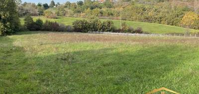 Terrain seul à Moissac en Tarn-et-Garonne (82) de 6000 m² à vendre au prix de 43000€ - 2