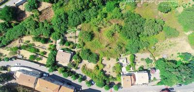 Terrain seul à Oletta en Haute-Corse (2B) de 3218 m² à vendre au prix de 338000€ - 1