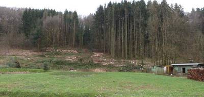 Terrain seul à Hottviller en Moselle (57) de 803 m² à vendre au prix de 33000€ - 2
