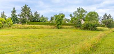 Terrain seul à Millançay en Loir-et-Cher (41) de 1126 m² à vendre au prix de 21990€ - 2