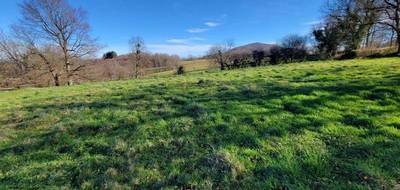 Terrain seul à Alzen en Ariège (09) de 1030 m² à vendre au prix de 40000€ - 1