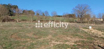 Terrain seul à Clavières en Cantal (15) de 1366 m² à vendre au prix de 27320€ - 3