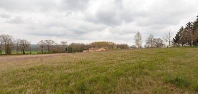Terrain seul à Confolens en Charente (16) de 11500 m² à vendre au prix de 23990€ - 3