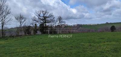 Terrain seul à Paulinet en Tarn (81) de 1134 m² à vendre au prix de 37000€ - 3