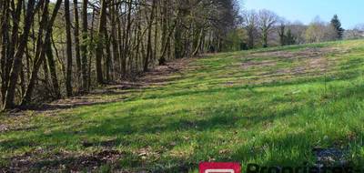 Terrain seul à Treignac en Corrèze (19) de 3657 m² à vendre au prix de 19000€ - 4