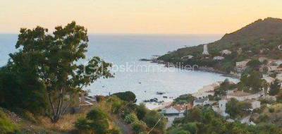 Terrain seul à Casaglione en Corse-du-Sud (2A) de 1600 m² à vendre au prix de 335500€ - 1