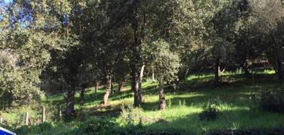 Terrain seul à Bilia en Corse-du-Sud (2A) de 2000 m² à vendre au prix de 60000€ - 1