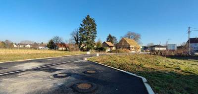 Terrain seul à Dannemarie en Haut-Rhin (68) de 621 m² à vendre au prix de 77600€ - 1