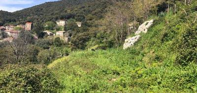 Terrain seul à Albitreccia en Corse-du-Sud (2A) de 1066 m² à vendre au prix de 75000€ - 4