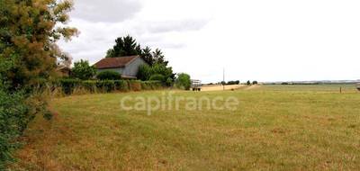 Terrain seul à Fleurance en Gers (32) de 1950 m² à vendre au prix de 22000€ - 4