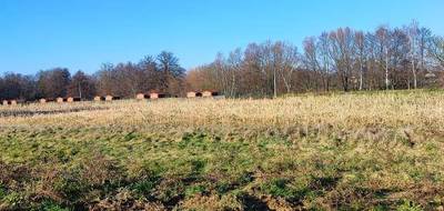 Terrain seul à Dannemarie en Haut-Rhin (68) de 450 m² à vendre au prix de 69000€ - 1
