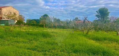 Terrain seul à Pietroso en Haute-Corse (2B) de 1100 m² à vendre au prix de 93200€ - 3