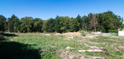 Terrain seul à Dreuilhe en Ariège (09) de 2594 m² à vendre au prix de 46000€ - 4