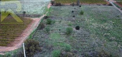 Terrain seul à Pomérols en Hérault (34) de 3500 m² à vendre au prix de 24000€ - 3