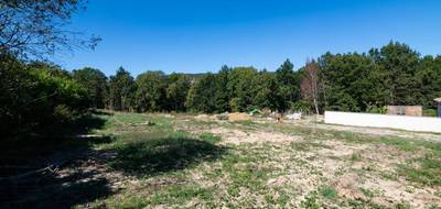 Terrain seul à Dreuilhe en Ariège (09) de 2594 m² à vendre au prix de 46000€ - 3