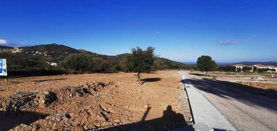 Terrain seul à Calenzana en Haute-Corse (2B) de 563 m² à vendre au prix de 153000€ - 4