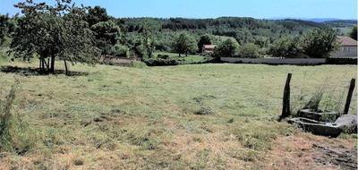 Terrain seul à Cezay en Loire (42) de 2873 m² à vendre au prix de 55000€ - 3