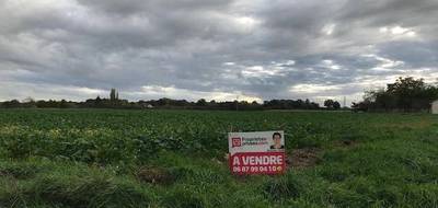 Terrain seul à Beaulieu-sur-Loire en Loiret (45) de 2390 m² à vendre au prix de 24000€ - 4