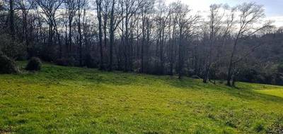 Terrain seul à Buros en Pyrénées-Atlantiques (64) de 5000 m² à vendre au prix de 150000€ - 2