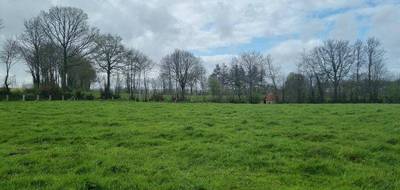 Terrain seul à Tinchebray-Bocage en Orne (61) de 6570 m² à vendre au prix de 23000€ - 1