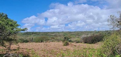 Terrain seul à Crozon en Finistère (29) de 730 m² à vendre au prix de 5190€