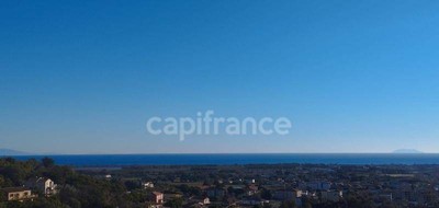 Terrain seul à Penta-di-Casinca en Haute-Corse (2B) de 1407 m² à vendre au prix de 158000€